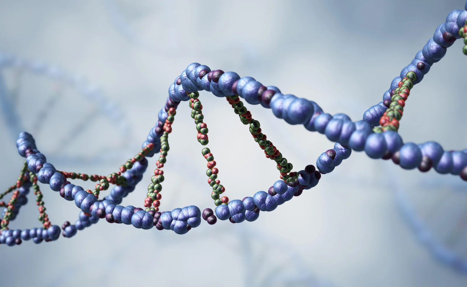 Fakt teadust päevas: kui kaua säilib luudes DNA?